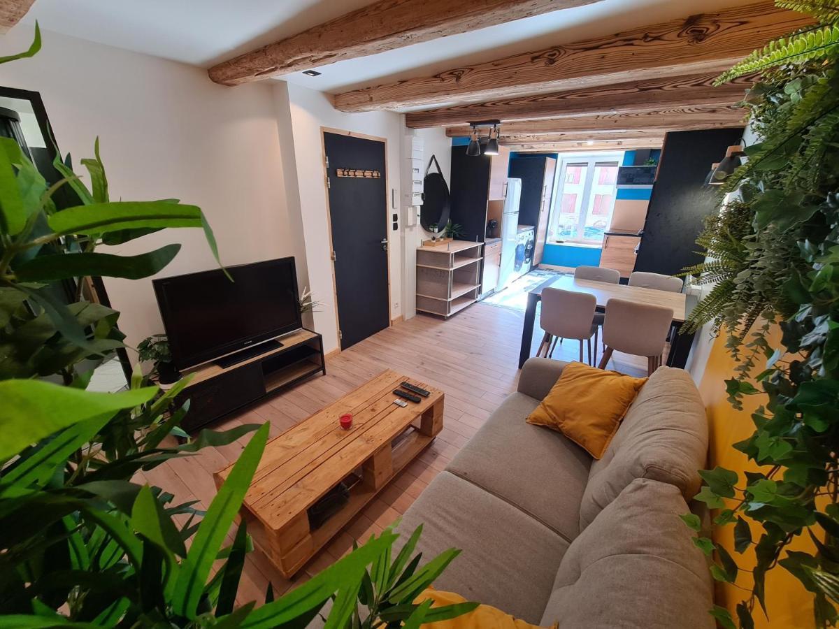 "Comme A La Maison" - 2 Apparts Neuf Tout Confort - 3 Chambres 100M2 Ou 2 Chambres 50M2 Rambervillers Номер фото